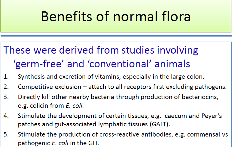 beneficial effects of normal flora
